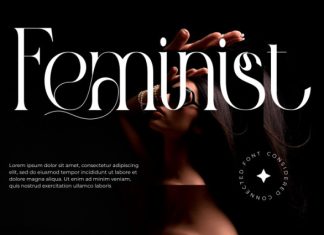 Considered Connected – Elegant Serif Font preview image 2