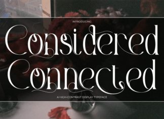 Considered Connected – Elegant Serif Font preview image 1