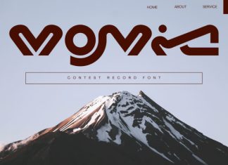 Contest Record – Futuristic Font preview image 3