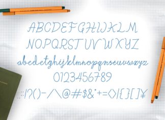 Corolla Line Script Font preview image 2