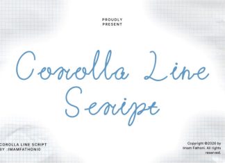 Corolla Line Script Font preview image 1