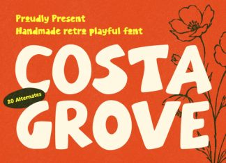 Costa Grove Font preview image 1