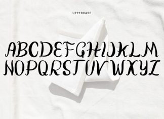 Couvee Handwritten Script Font preview image 3