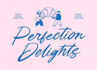 Creative Online – Handwritten Ink Font preview image 3