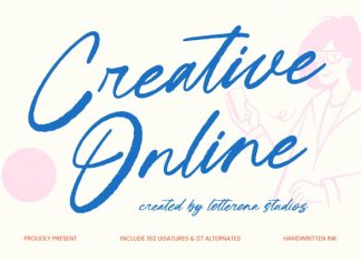 Creative Online – Handwritten Ink Font preview image 1