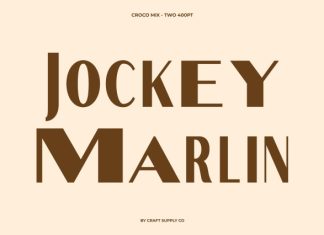 Croco Mix Font preview image 3