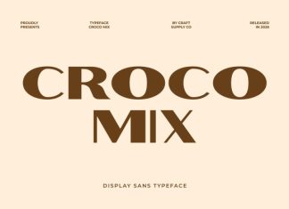 Croco Mix Font preview image 1
