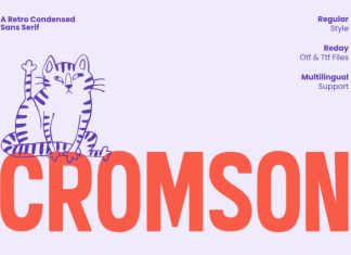Cromson Font preview image 1