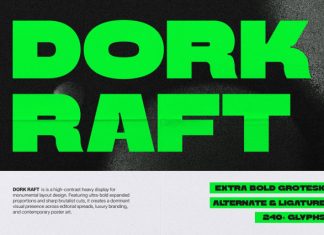 Dork Raft Extra Bold Grotesk Font preview image 1
