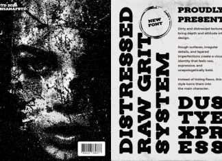 Dusty Express One Font preview image 2
