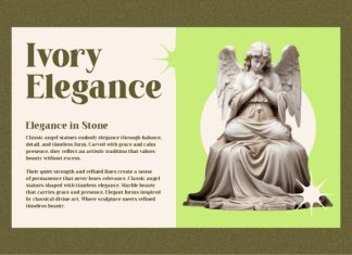 Elarion Elegant Serif Font preview image 3