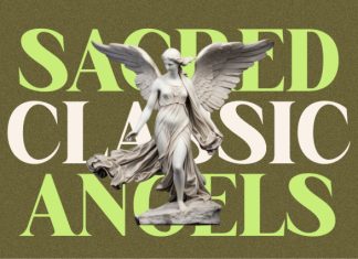 Elarion Elegant Serif Font preview image 2