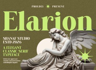 Elarion Elegant Serif Font preview image 1