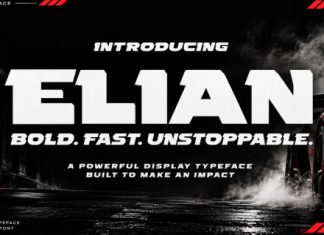 Elian Bold Futuristic Display Font preview image 1
