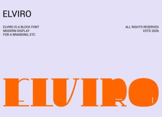 Elviro Block Font preview image 1