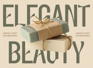 Elvora Modern Elegant Sans Font preview image 3