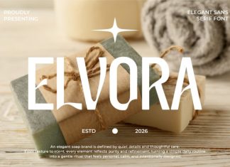 Elvora Modern Elegant Sans Font preview image 1