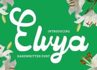 Elvya Handwritten Font preview image 1