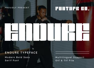 Endure – Modern Bold Sans Serif Font preview image 1
