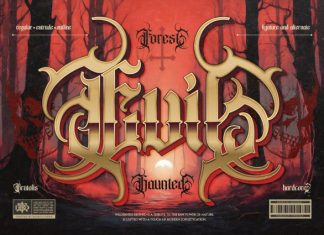 Ethoris – Blackletter Horror Font preview image 2