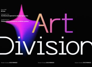 Evo Rinnox Modern Grotesk Font preview image 2