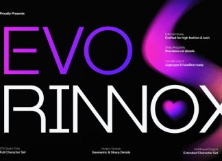 Evo Rinnox Modern Grotesk Font preview image 1