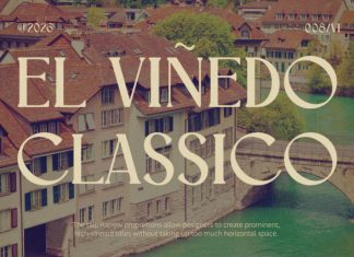 FONDA FONT preview image 2