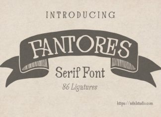Fantores Serif Font preview image 1