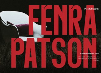Fenra Patson Condensed Sans Serif Font preview image 1