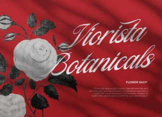 Filagio Vilantio Classic Elegant Script Font preview image 3