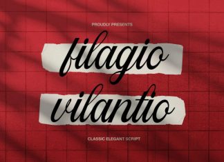 Filagio Vilantio Classic Elegant Script Font preview image 1
