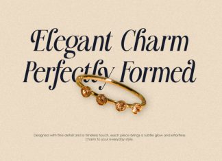 Filagio – Elegant Serif Font preview image 2