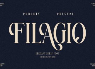 Filagio – Elegant Serif Font preview image 1