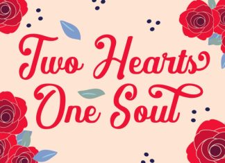 Floravine Romantic Script Font preview image 3