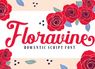 Floravine Romantic Script Font preview image 1