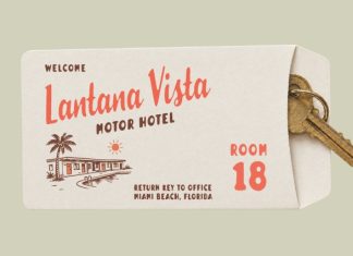 Florida Palms Script Font preview image 2