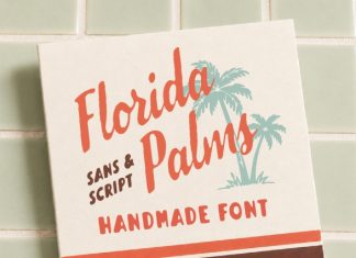 Florida Palms Script Font preview image 1
