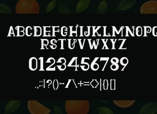 Flow Serif Font preview image 2