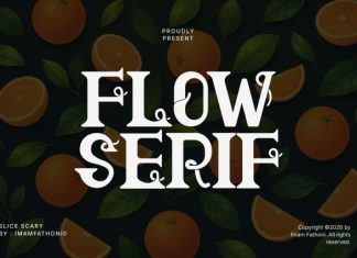 Flow Serif Font preview image 1