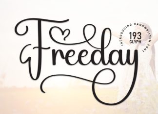 Freeday Font preview image 1