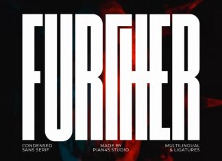 Further – Tall Sans Display Font preview image 1