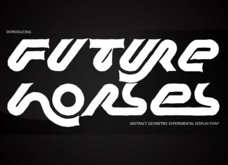 Future Horses – Futuristic Font preview image 1
