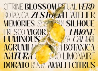 Galvero – Decorative Sans Serif Font preview image 2