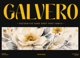 Galvero – Decorative Sans Serif Font preview image 1