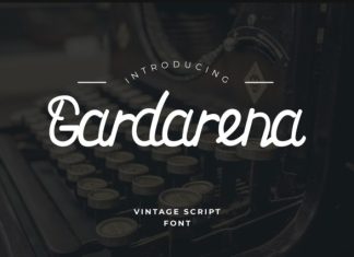 Gardarena Script Font preview image 1