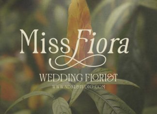 Garesin – Serif Font preview image 3