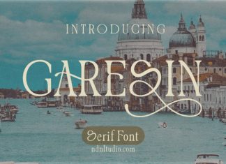 Garesin – Serif Font preview image 1