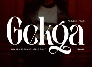 Gekga – Luxury Elegant Font preview image 1