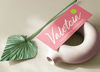 Gelato Vanilla – Handbrush Script Font preview image 3