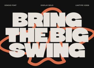 Genoid – Bold Display Font preview image 2